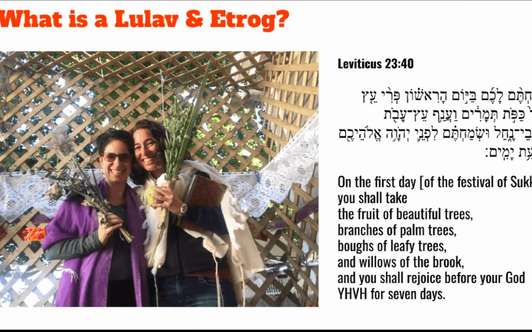 Come ho preparato il mio Lulav locale per Sukkot