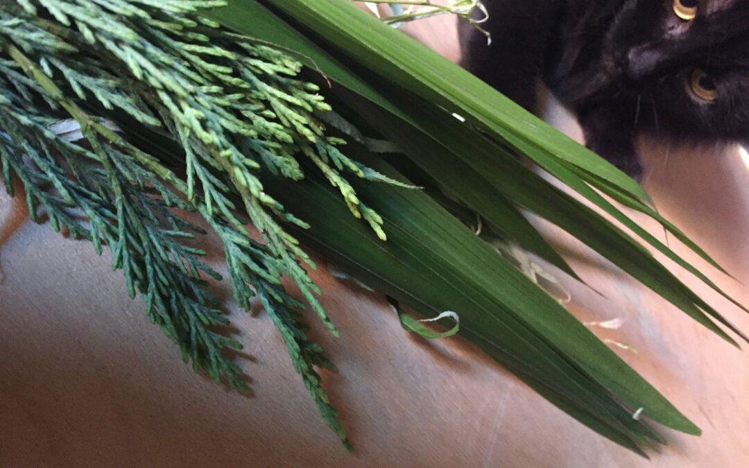 Sukkot, costruire capanne di gioia come da bambini