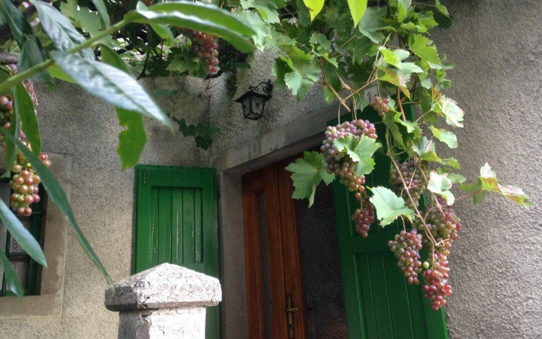 Mevushal: mantenere il vino kosher, kosher.